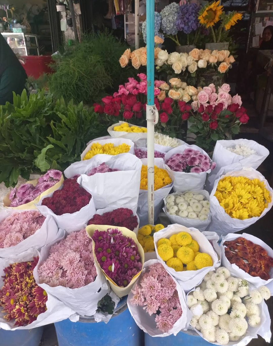 JOGJA FESS | KIRIM FESS CEK PINNED tweet media