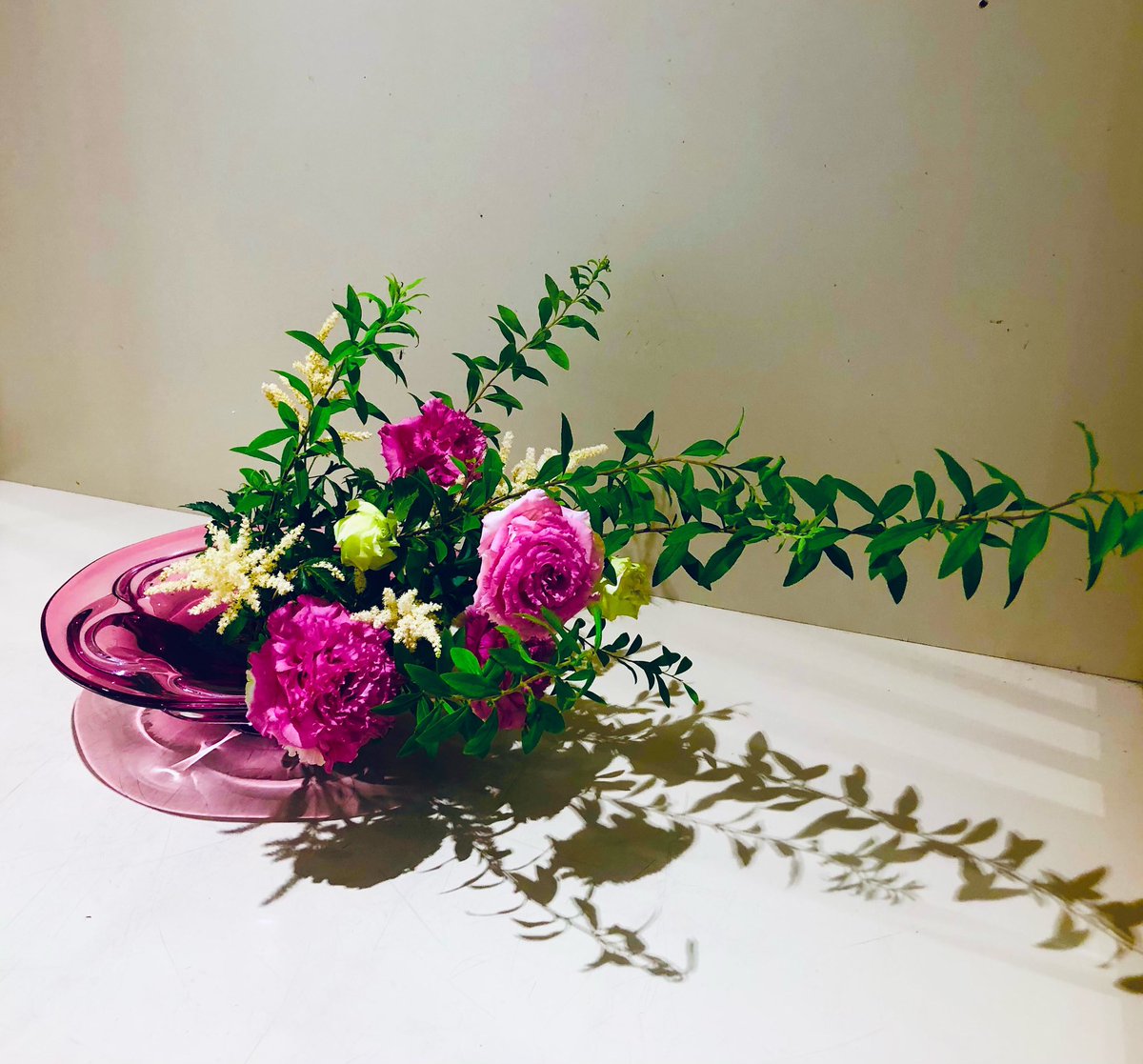 8月になりました🎉🎊
今日は猛暑も一旦お休み🎐
薄紅色が鮮やかなトルコキキョウ🩷

#takashikatoh
#actor
#tagheuer
#miffy
#instagram
#instagramer
#生花
#華道
#東山源氏千家古流
#トルコキキョウ
#薄紅色
#flower
#flowers
#eustoma
#pink
#pinky