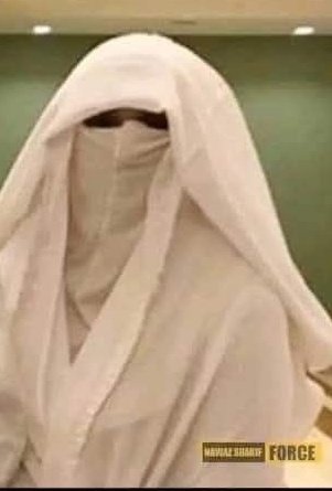 بےشک ،درست فرمایا محترمہ۔شیطان  خود کو پوشیدہ رکھ کر  بھی اپنے شیطانی کرتوت انجام دے سکتا ہے۔۔۔۔۔