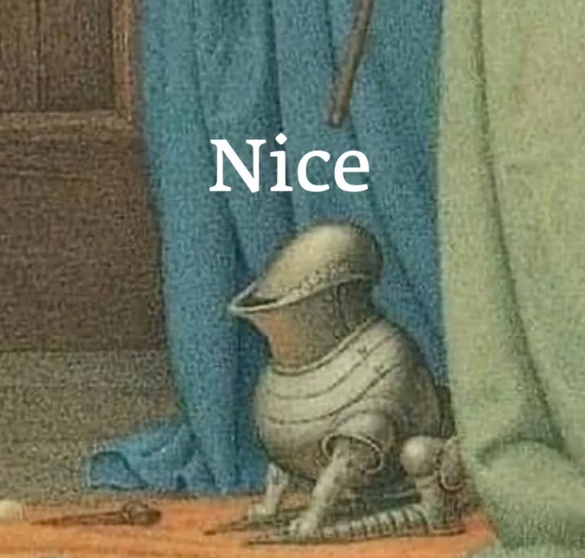 cat armor