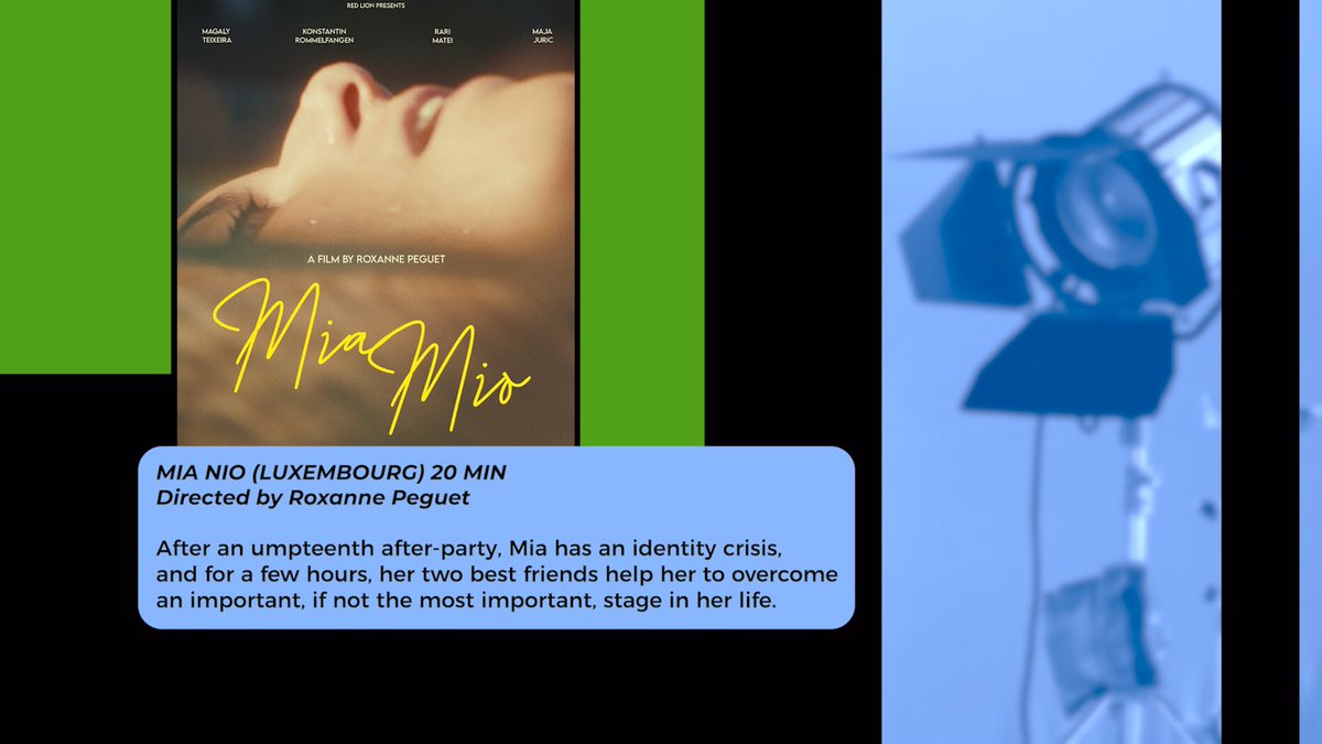 SF Queer Film Fest tweet media