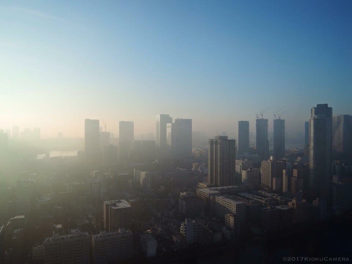 記憶カメラ tweet media