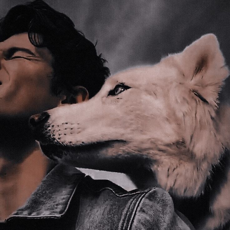 KryptonianPunk's tweet image. No clue what he's starin at. Probably at a hot dog stand