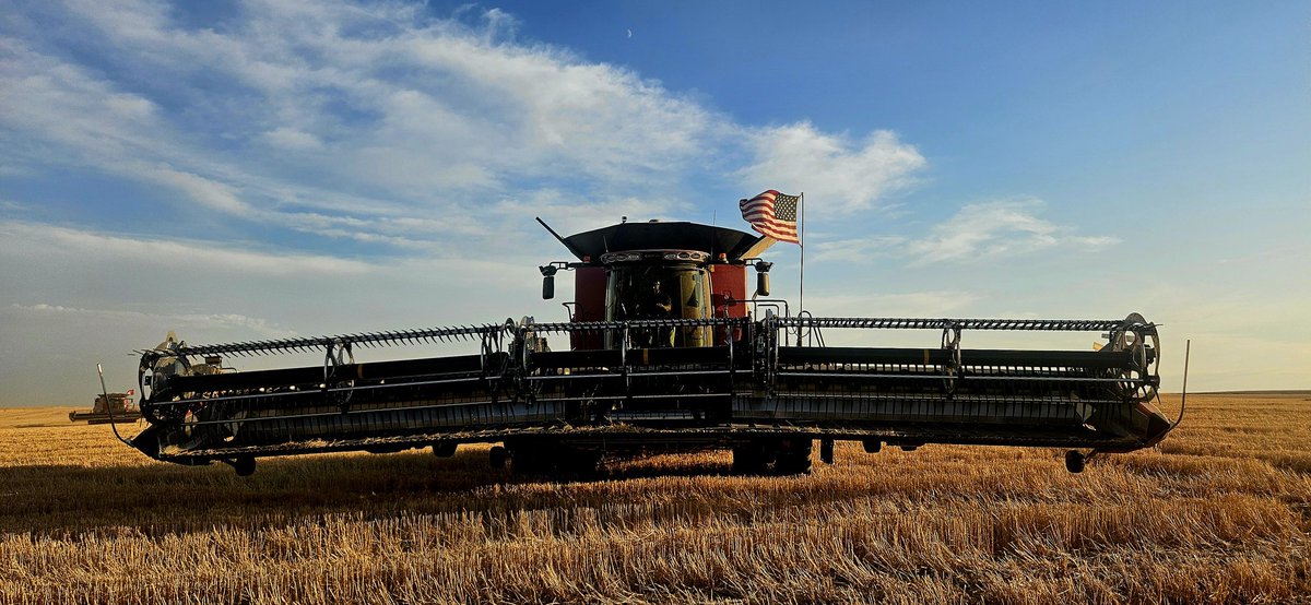 Jeff Hamlin tweet media