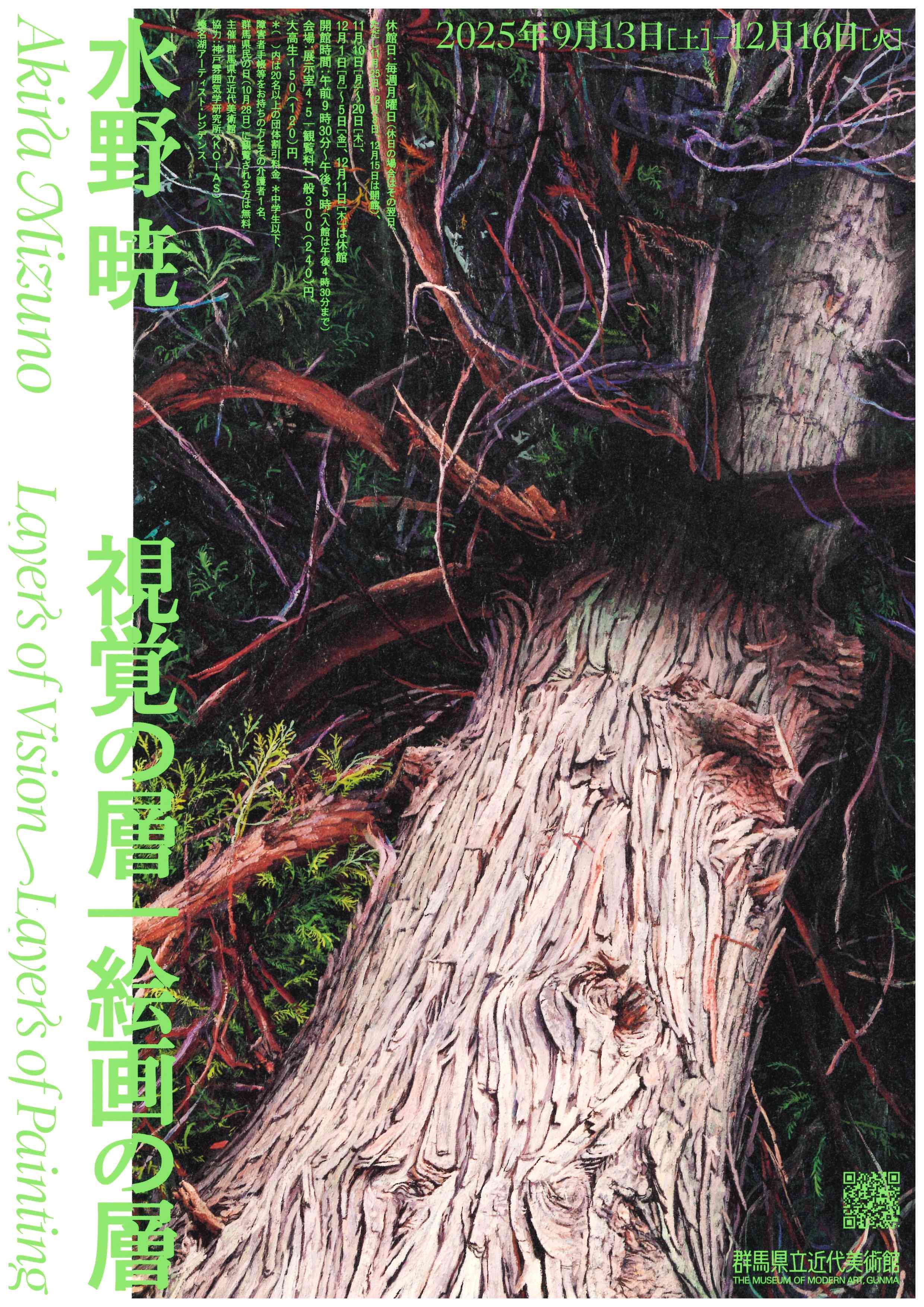 ★現代絵画の20年 群馬県立近代美術館 1984年 ☆現代絵画の20年 群馬県立近代美術館 1984年 本