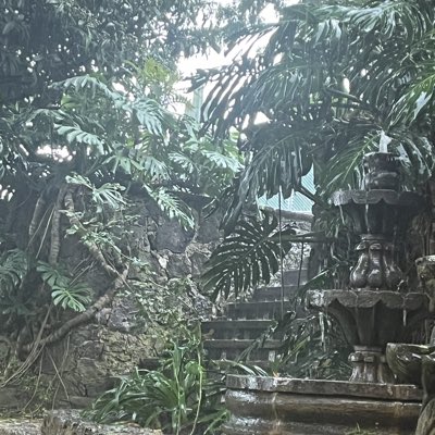 ASAPMexico's tweet image. #NuevaFotoDePerfil