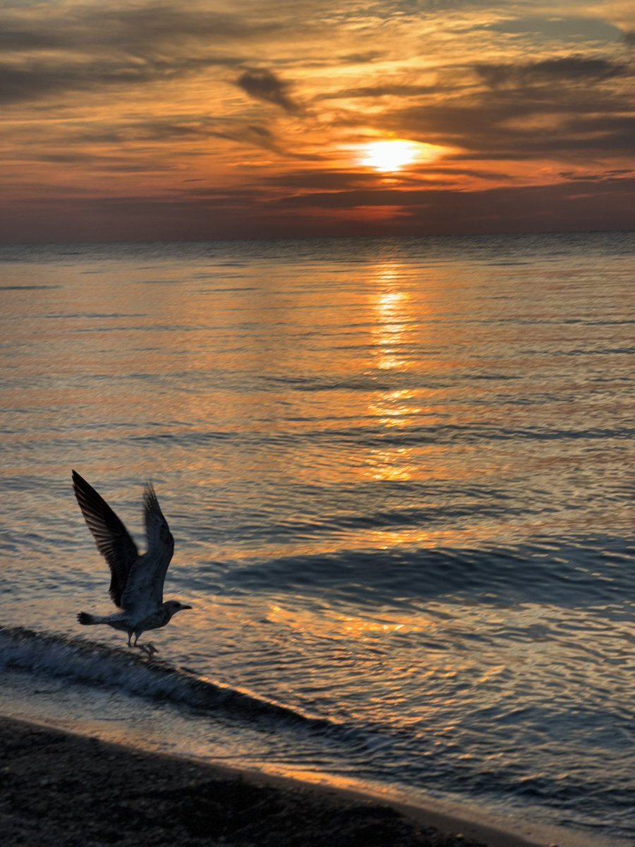 світанок на чорному морі