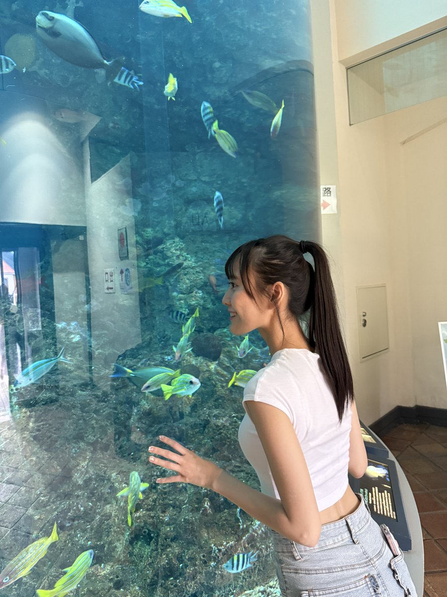 陽奈 ページ イオナ (@IONA0903) / X