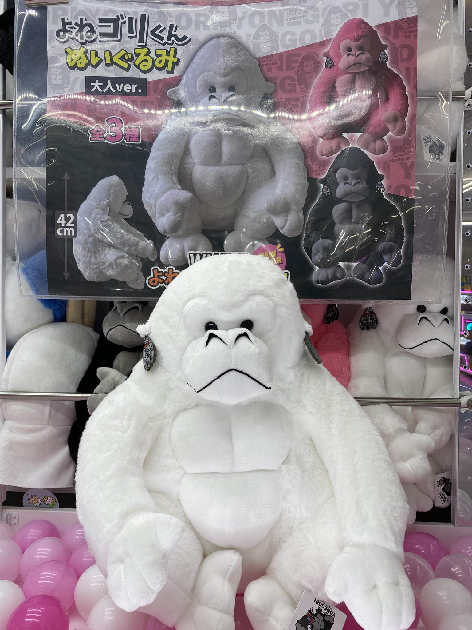 トレトレ倉庫 豆津バイパス店 【アミューズ🦍】 on X: 