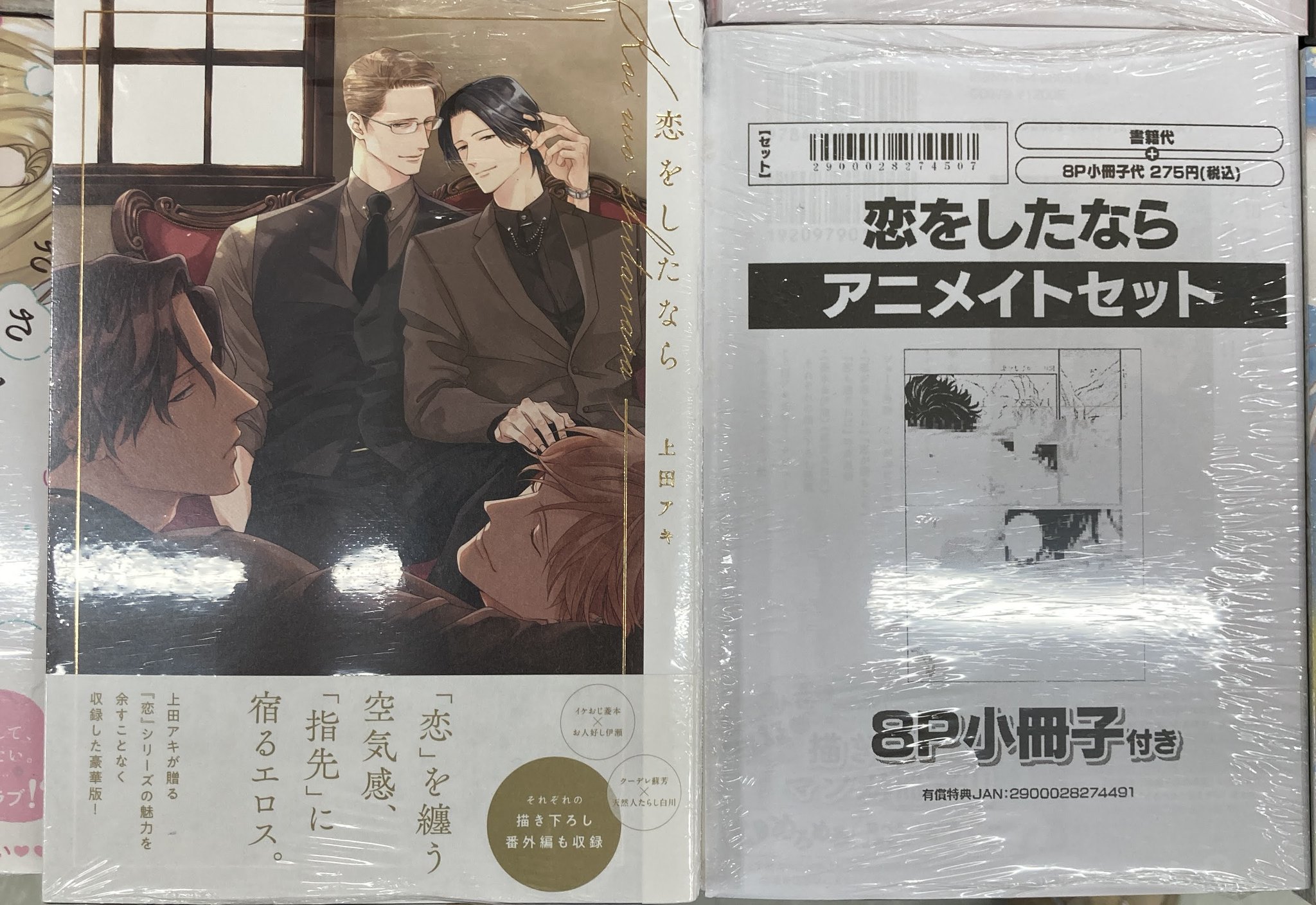 きんとうか　アニメイト特典小冊子「宗定編」 きんとうか アニメイト限定セット 小冊子 宗定編 ｷﾝﾄｳｶｱﾆﾒｲﾄ