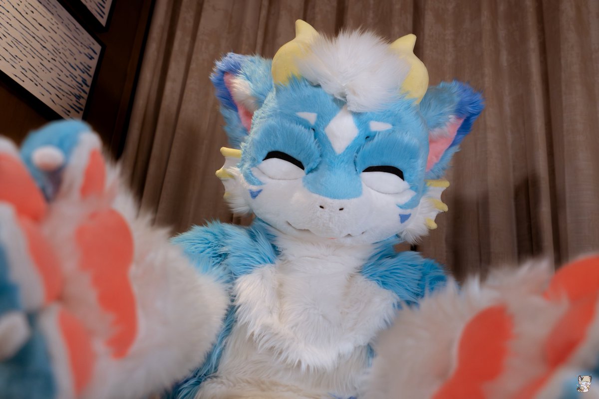 Halculus2's tweet image. 我也来发毛五了！
是对象的海鲜龙
#FursuitFriday