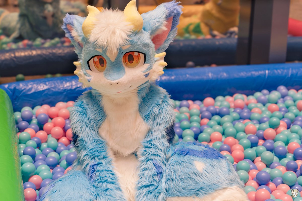 Halculus2's tweet image. 我也来发毛五了！
是对象的海鲜龙
#FursuitFriday