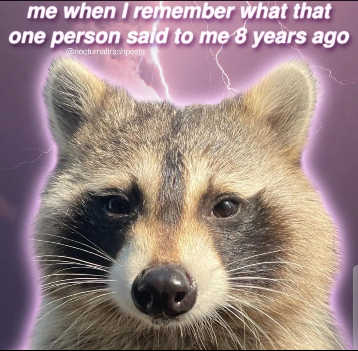 raccoon aesthetic. (@raccoonesthetic) on Twitter photo 