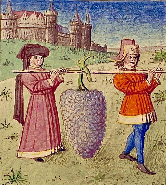 It wasn’t until the first raspberry harvest that the inhabitants of Radiaton began to appreciate the benefits of living near a rich uranium deposit   -   mid-15th century, Saint-Omer (Pas de Calais), Bibliothèque municipale, 183, f. 22v