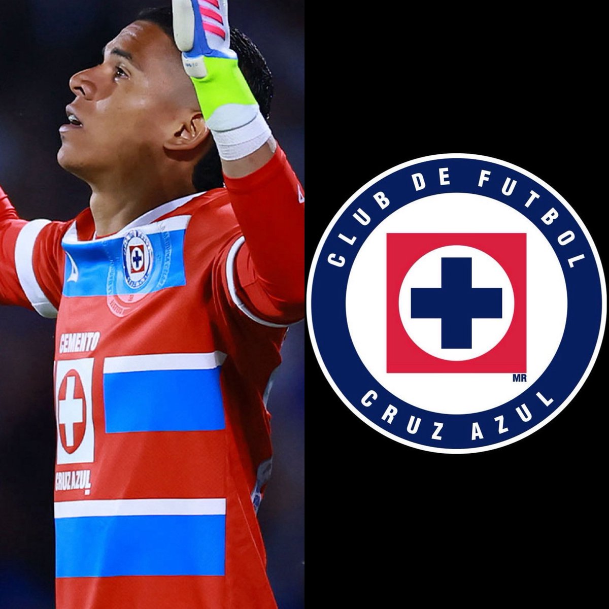 Cerebros tweet media