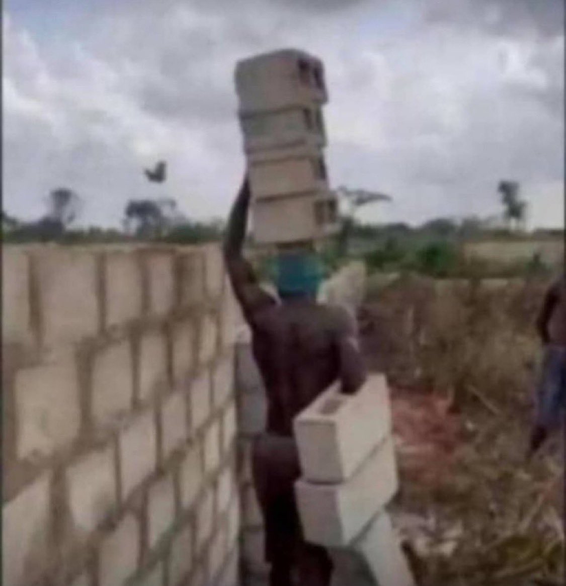 19GoCrazy's tweet photo. He fit reach house make him wife call am useless man https://t.co/ZY6ac3iulu