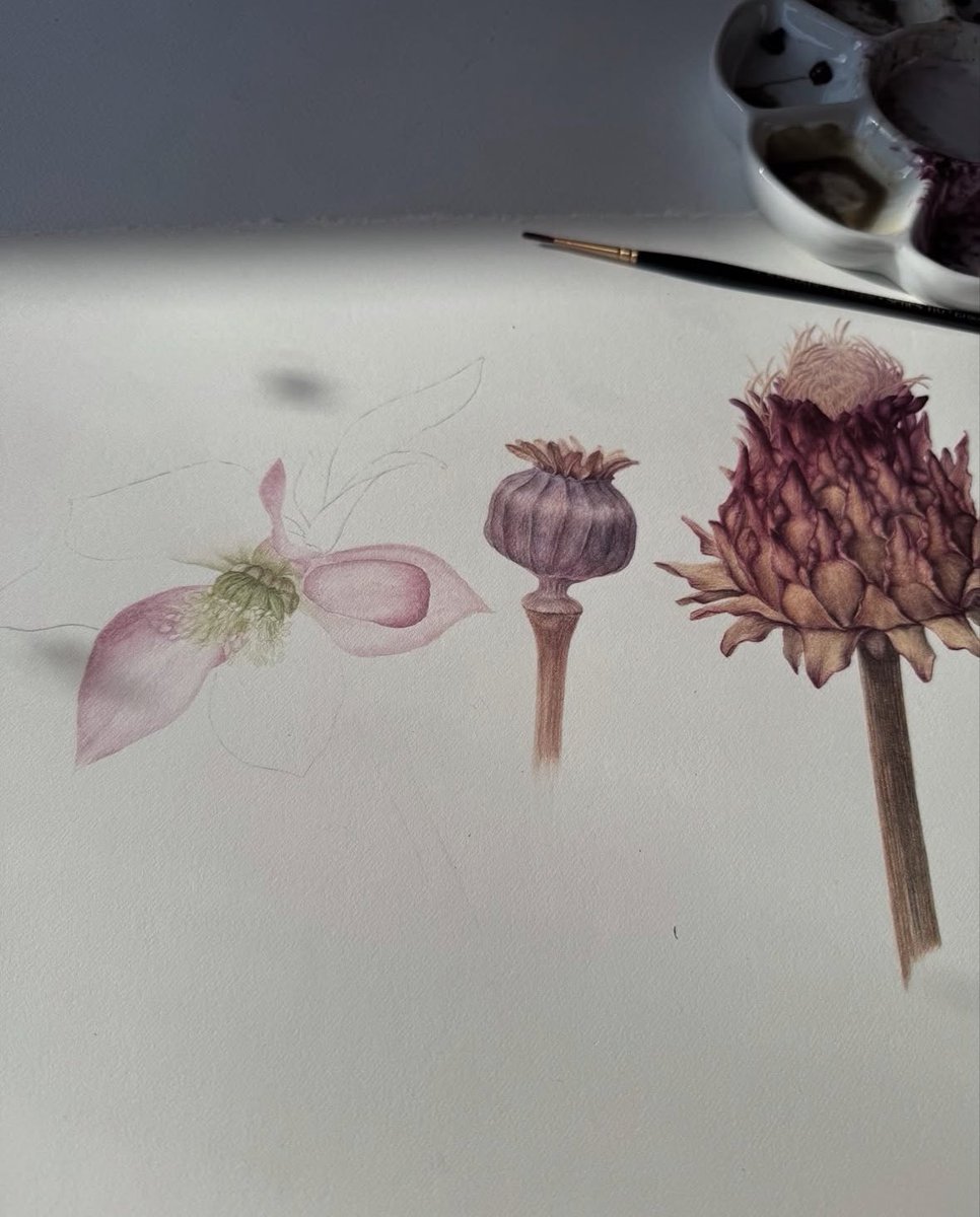 Anna Dowd Art, Pieces of Nature tweet media