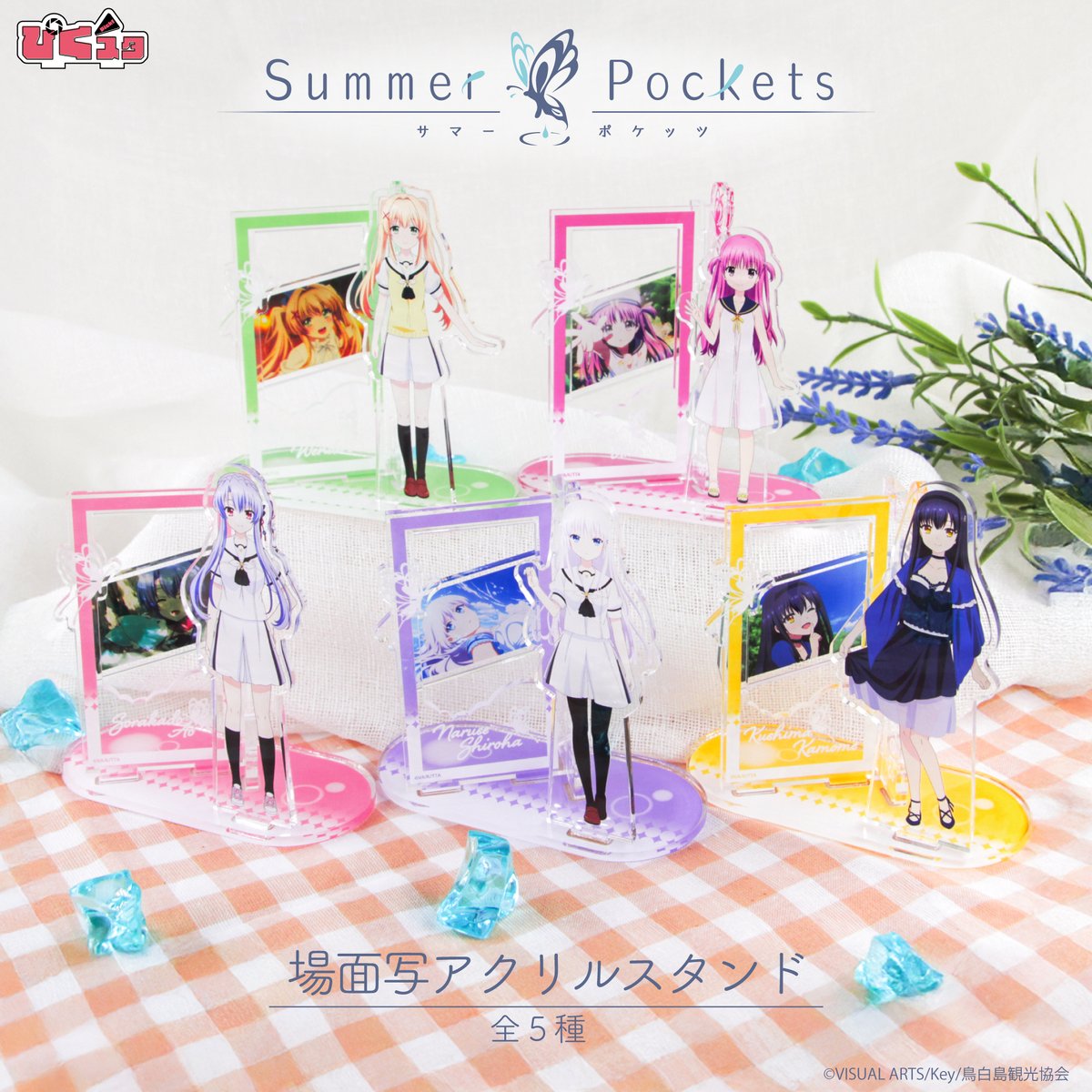 Summer Pockets アクリルスタンド 20点まとめ売り アニメーク【公式】 on X: