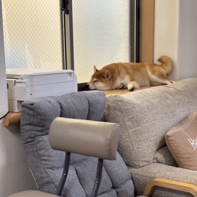 Fcv9It's tweet photo. #新しいプロフィール画像 https://t.co/f4sYRCOQcr