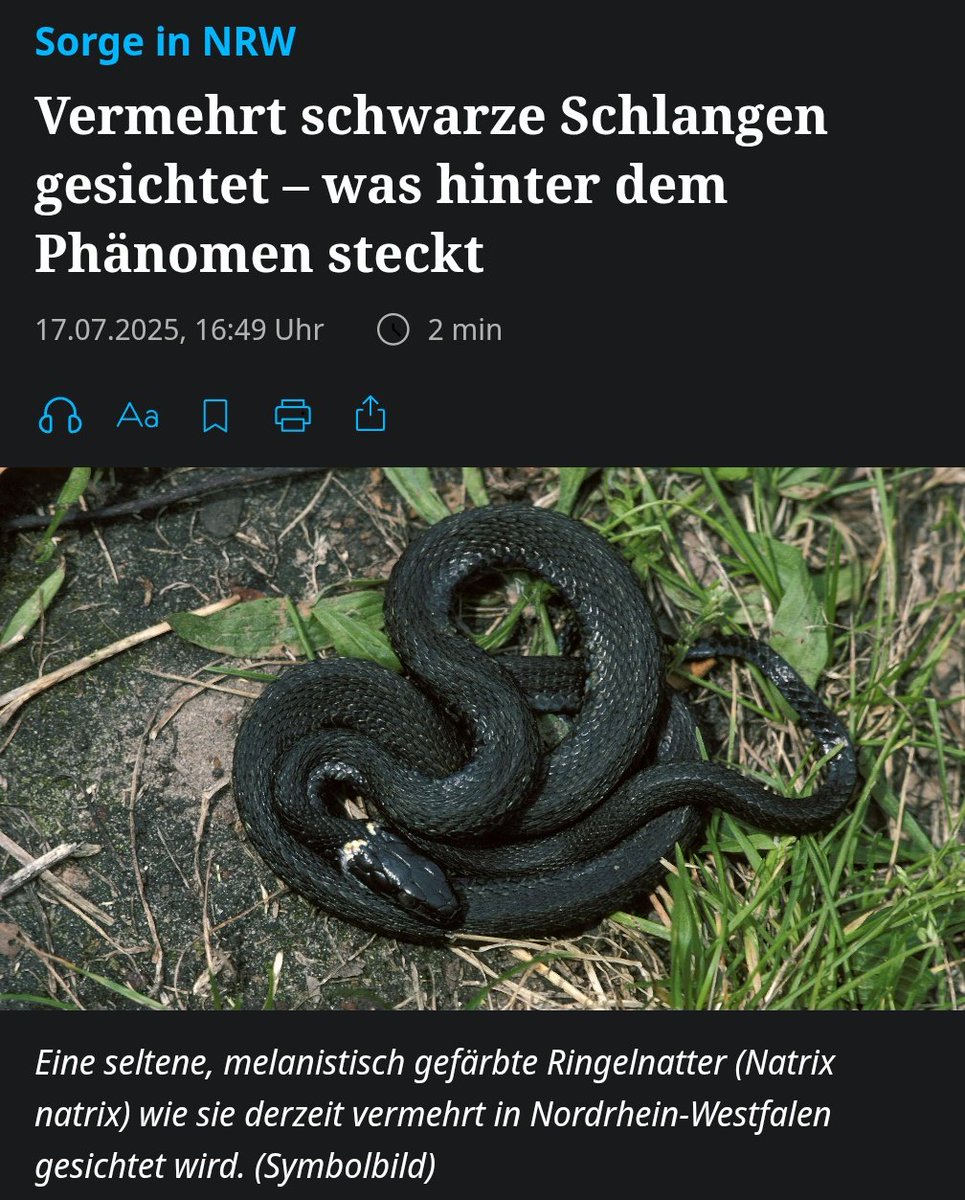 Leute machen sich Sorgen über eine wachsende schwarze Bevölkerung?