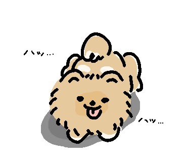waco_38's tweet photo. 洗われて興奮するポメラニアン https://t.co/xjBXMDEIxu