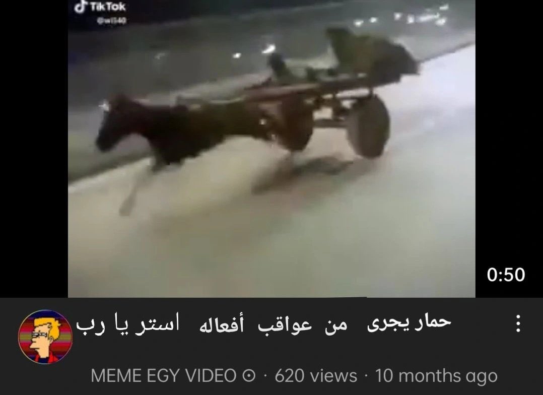 N0T_AHMD's tweet image. 