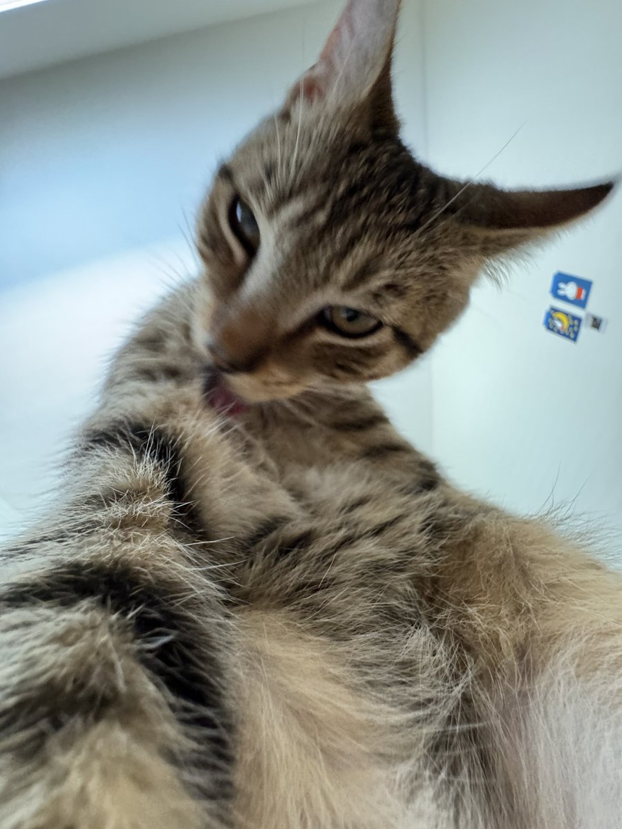 my son is weird but he serves face card while being weird so… i guess……