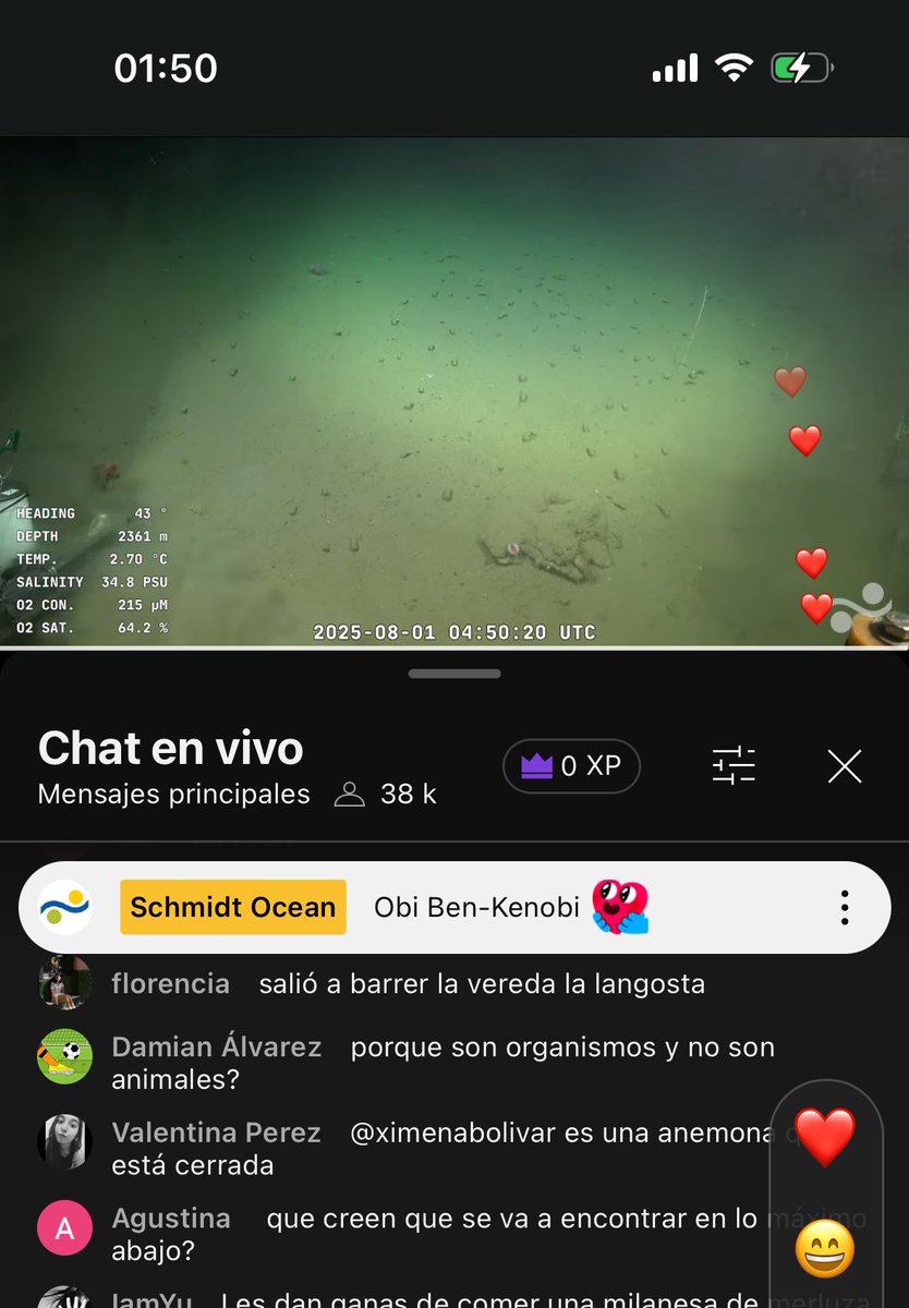 debbiledesma's tweet image. Casi 2am, casi 40k viendo y aprendiendo que a más profundidad menos posibilidades de que hayan corales porque el nivel de carbonato y ph  desciende y es lo que se necesita para que se formen los corales. 🪸🪸🪸🪸

#CONICET #Expedicion #cienciaargentina