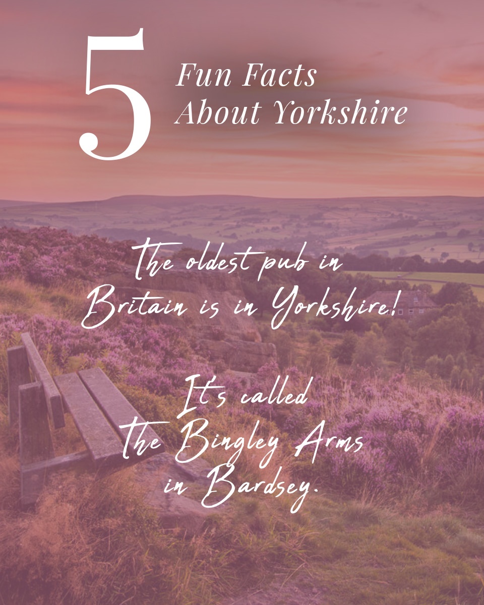 KitandKaboodal's tweet photo. Happy Yorkshire Day🙌🏼
Celebrating our Yorkshire roots with 5 Yorkshire facts...

https://t.co/qPfB4Xnxl1 https://t.co/6Dp4oe122q