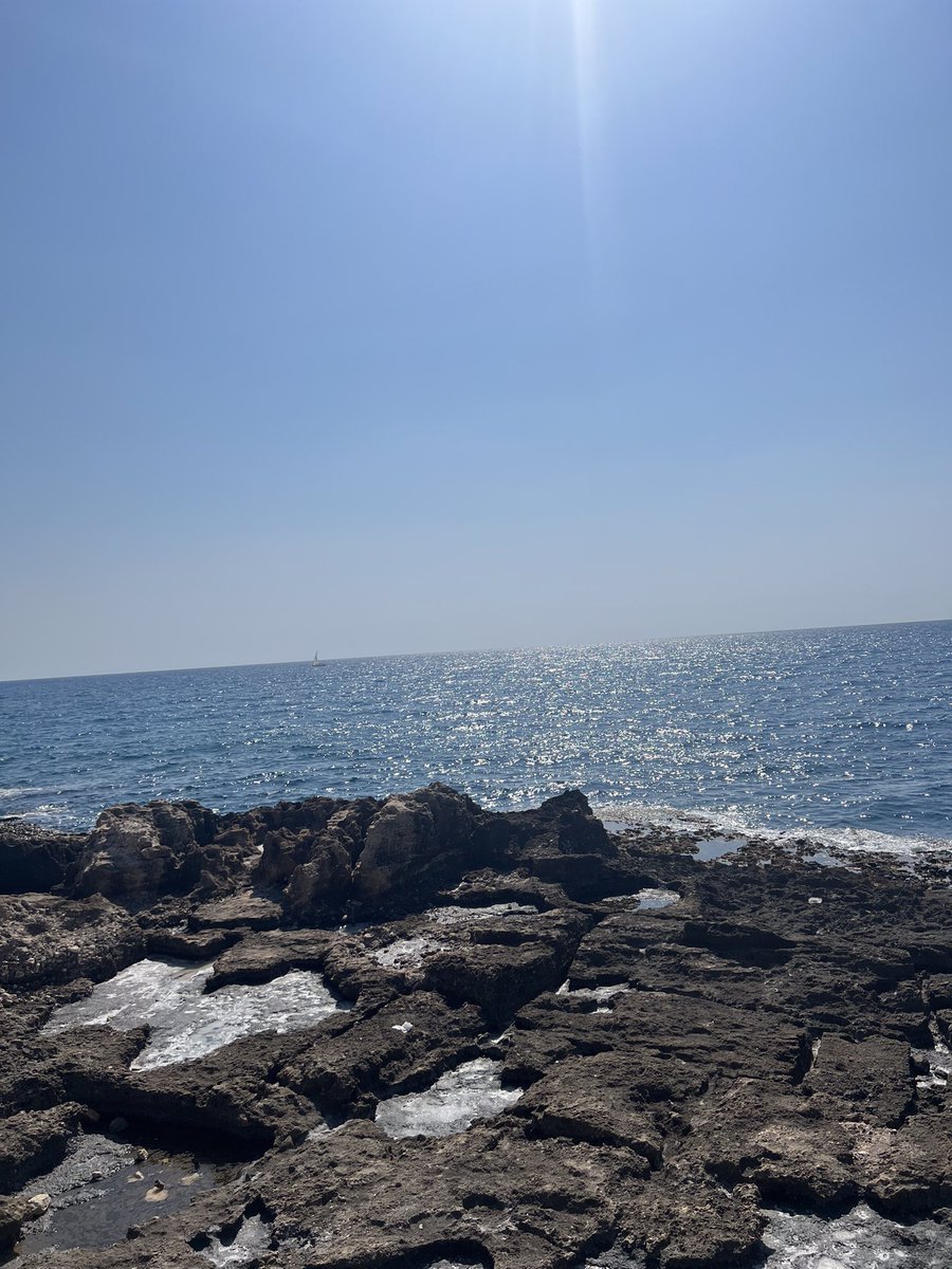 Good morning X-Friends…🌷🍃☕️
Have a happy Friday and a beautiful new month 🌊💦☀️🪨💙🩶🩵
May this month bring you all peace,happiness and serenity…
My photo 📸

#FridayFeeling 🌷 #August1st ☀️ #CoffeeTime ☕️ #HappyNewMonth 🌊 #WeekendVibes 💦 #StayPositive 🩵 #PeaceAndLove 🕊️