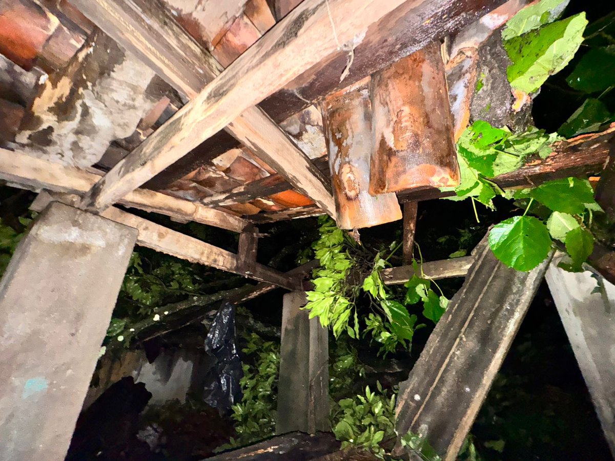 ObraMunicipal's tweet photo. 🌳💥 Realizamos limpieza, tras un árbol que cayó sobre una vivienda, ubicada en la zona de Quezaltepeque, La Libertad Norte.👷♂️💪
¡Seguimos firmes, trabajando por el bienestar de los ciudadanos! 💚
#DOM #EnLaDirecciónCorrecta
#gobsv #sv https://t.co/4kTFtn1VtL