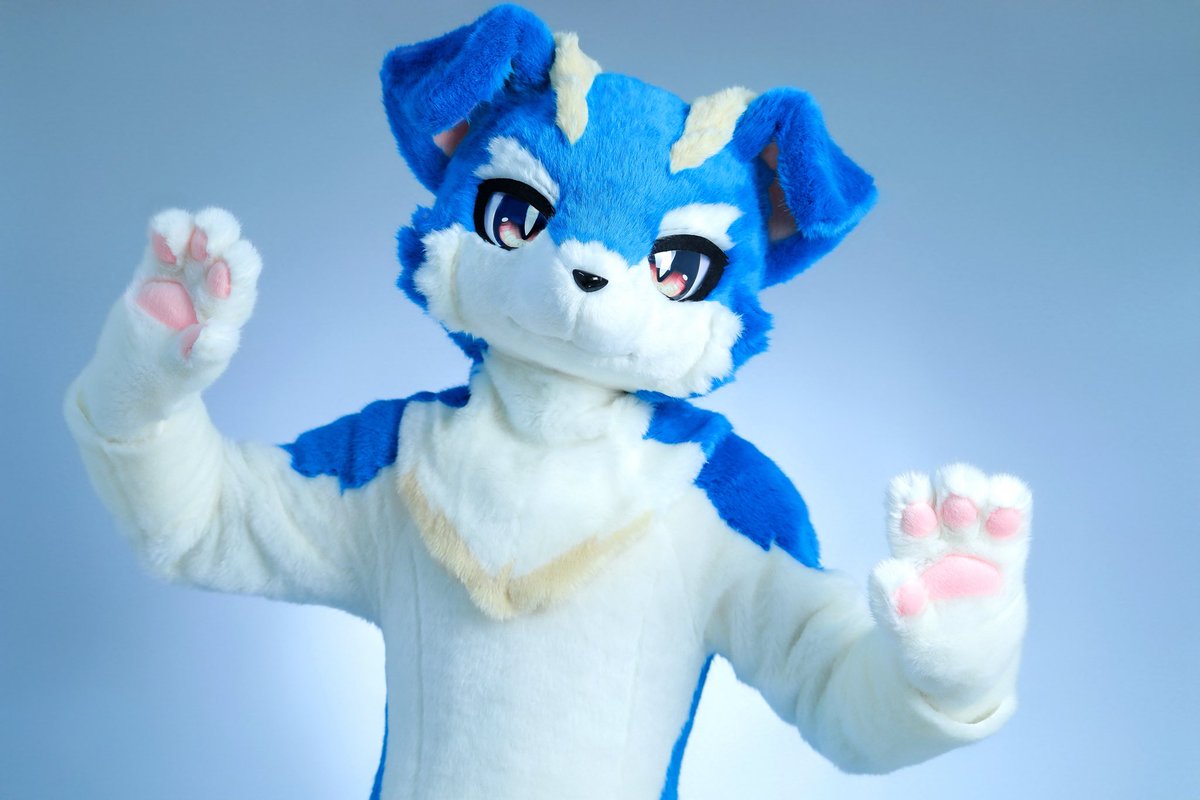 echox233's tweet photo. 2.0For Echo dog
#FursuitFriday #Fursuit #Furry https://t.co/oIG3Fma7SI