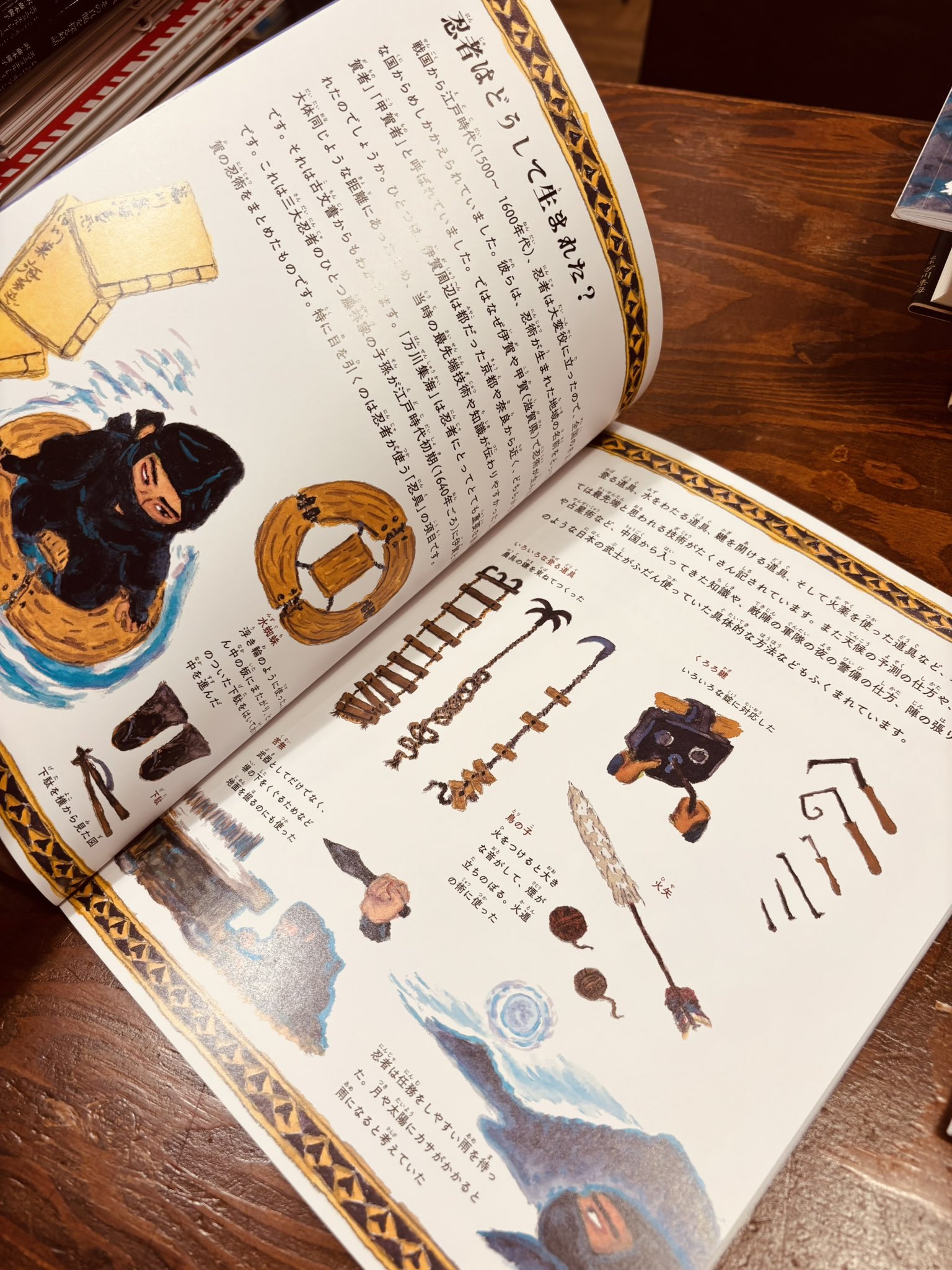 たくさんのふしぎ　88年版　12冊セット　１月号〜12月号 月刊たくさんのふしぎ2021年12月号 |本 | 通販 | Amazon