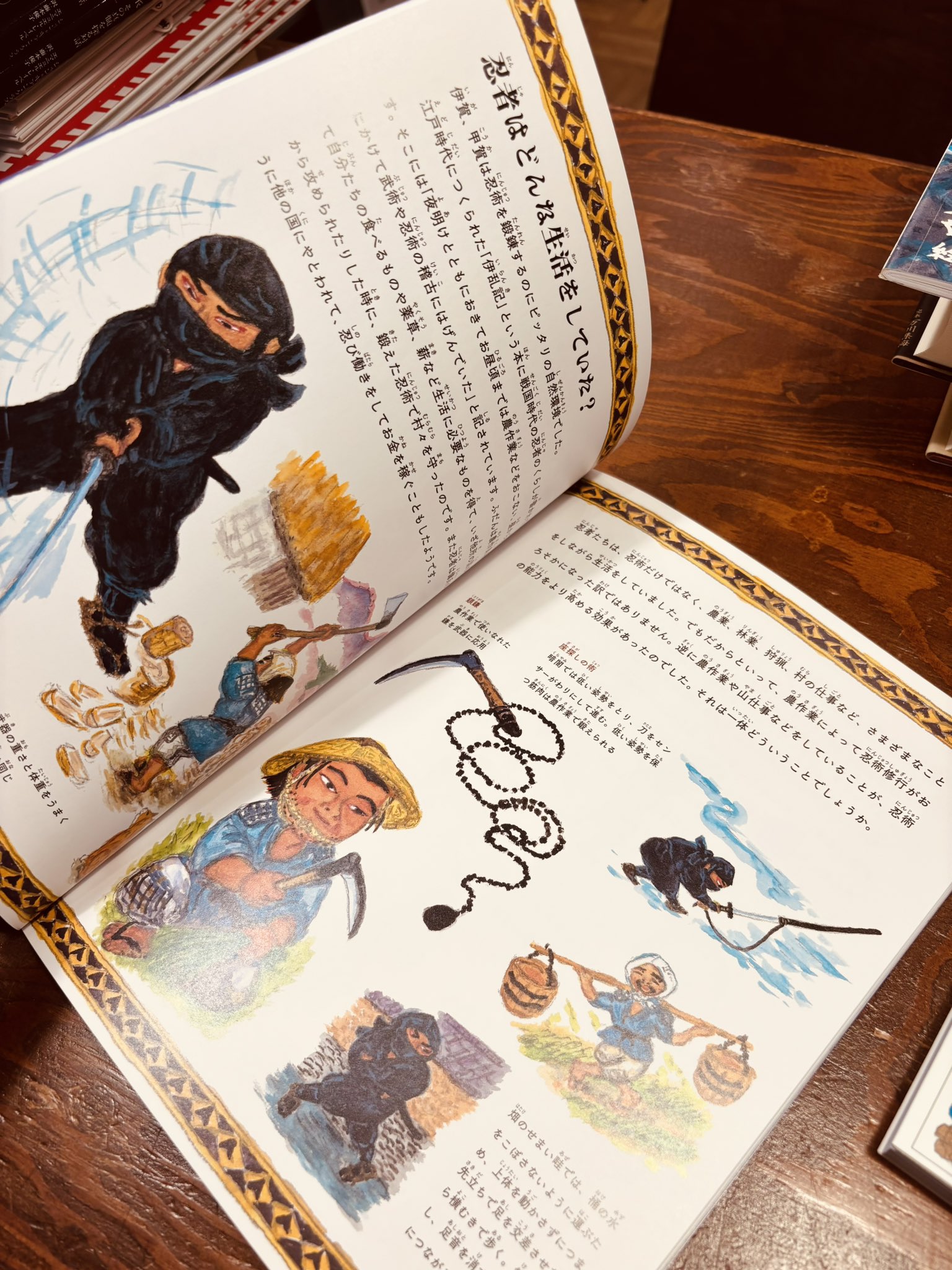 たくさんのふしぎ 全20冊 たくさんのふしぎ 20冊セット 本