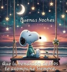 Linda noche 😴✨