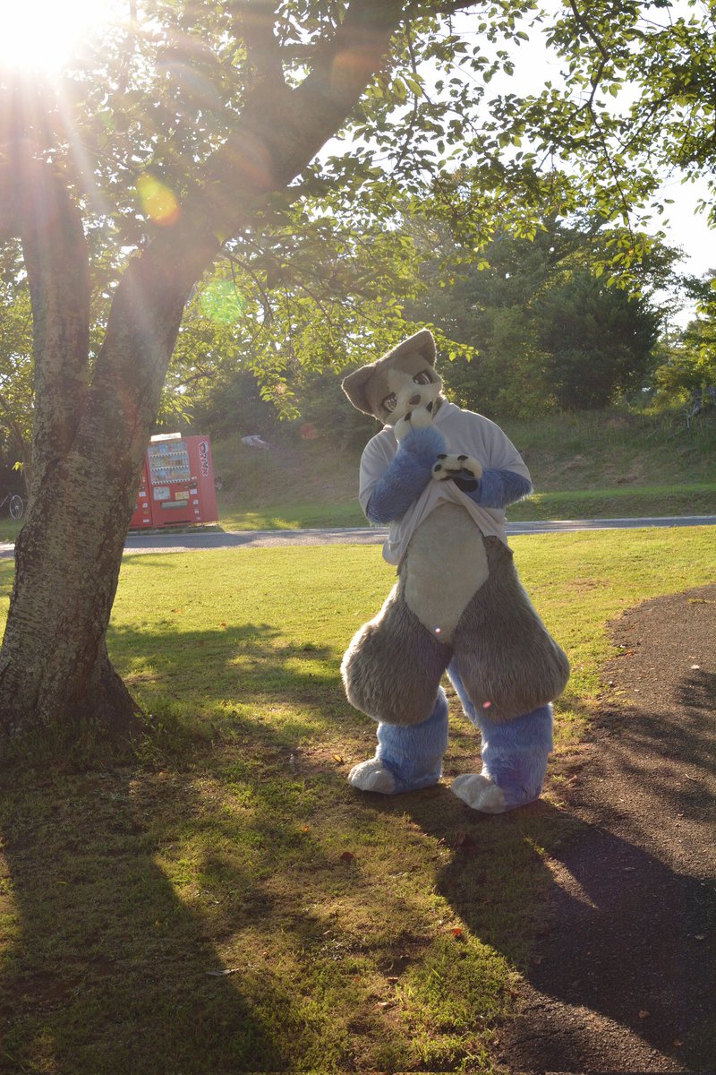 #いぬかのなにか  あぢ