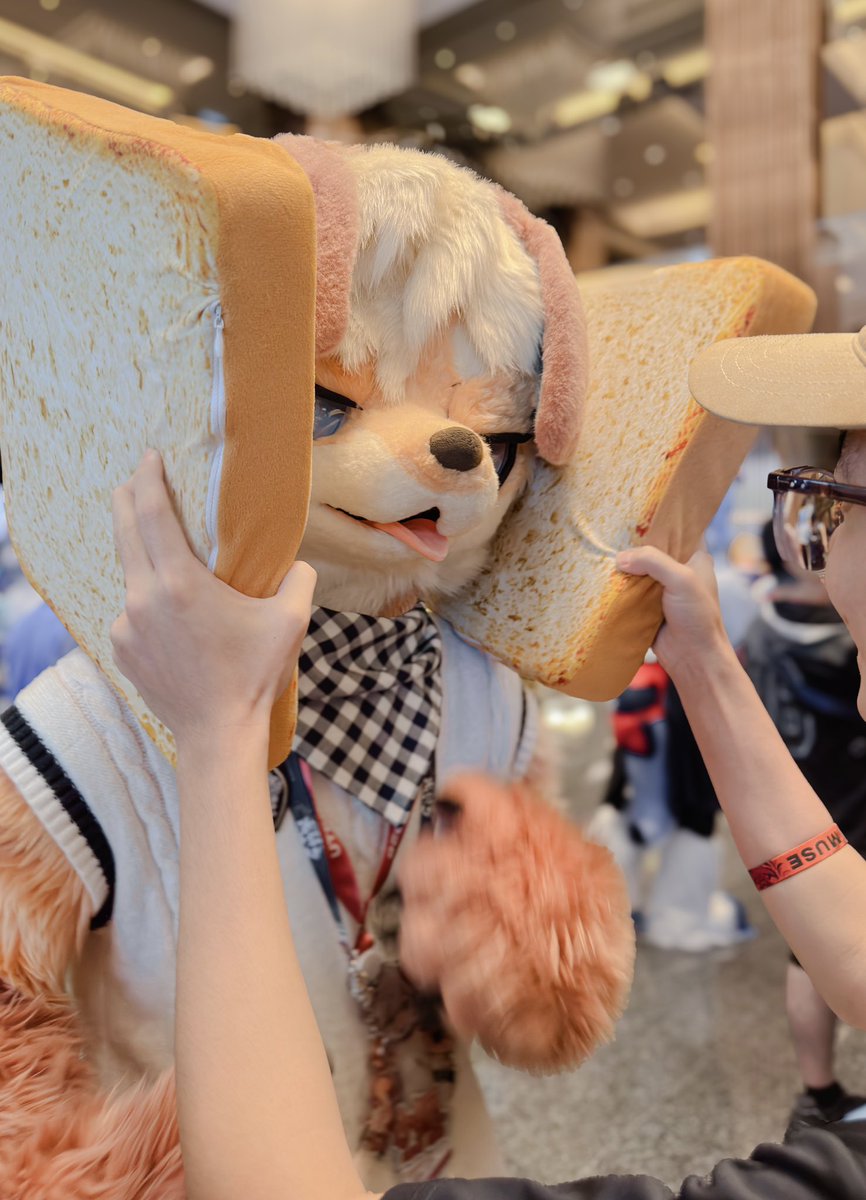 喂 你叫誰笨笨三明治！