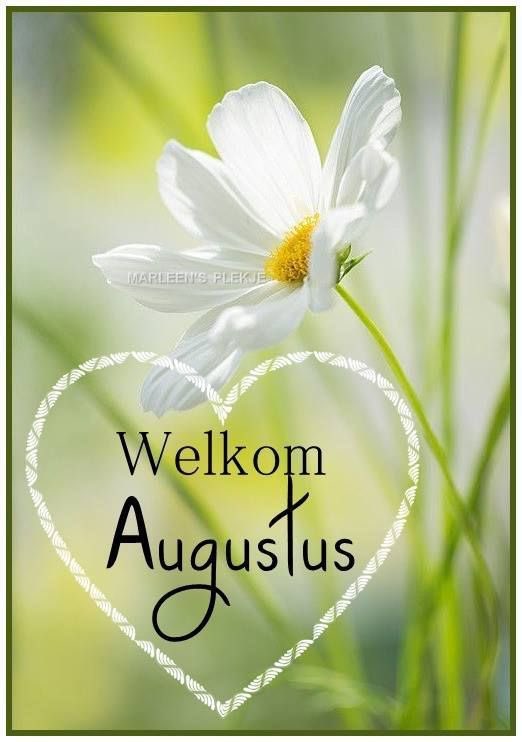 Goedemorgen iedereen en een mooie nieuwe maand