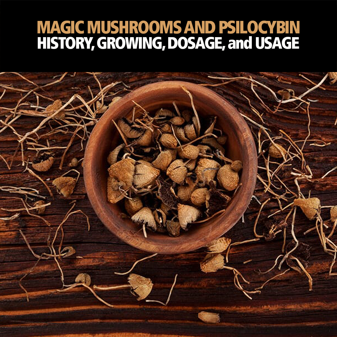 idoser's tweet image. What's all this fuss about #microdosing #magic #mushrooms? Are you interested in #psilocybin #therapy? Check this amazing #article on history, growing, dosage, and usage at: binauralblog.com/psilocybin-the…
