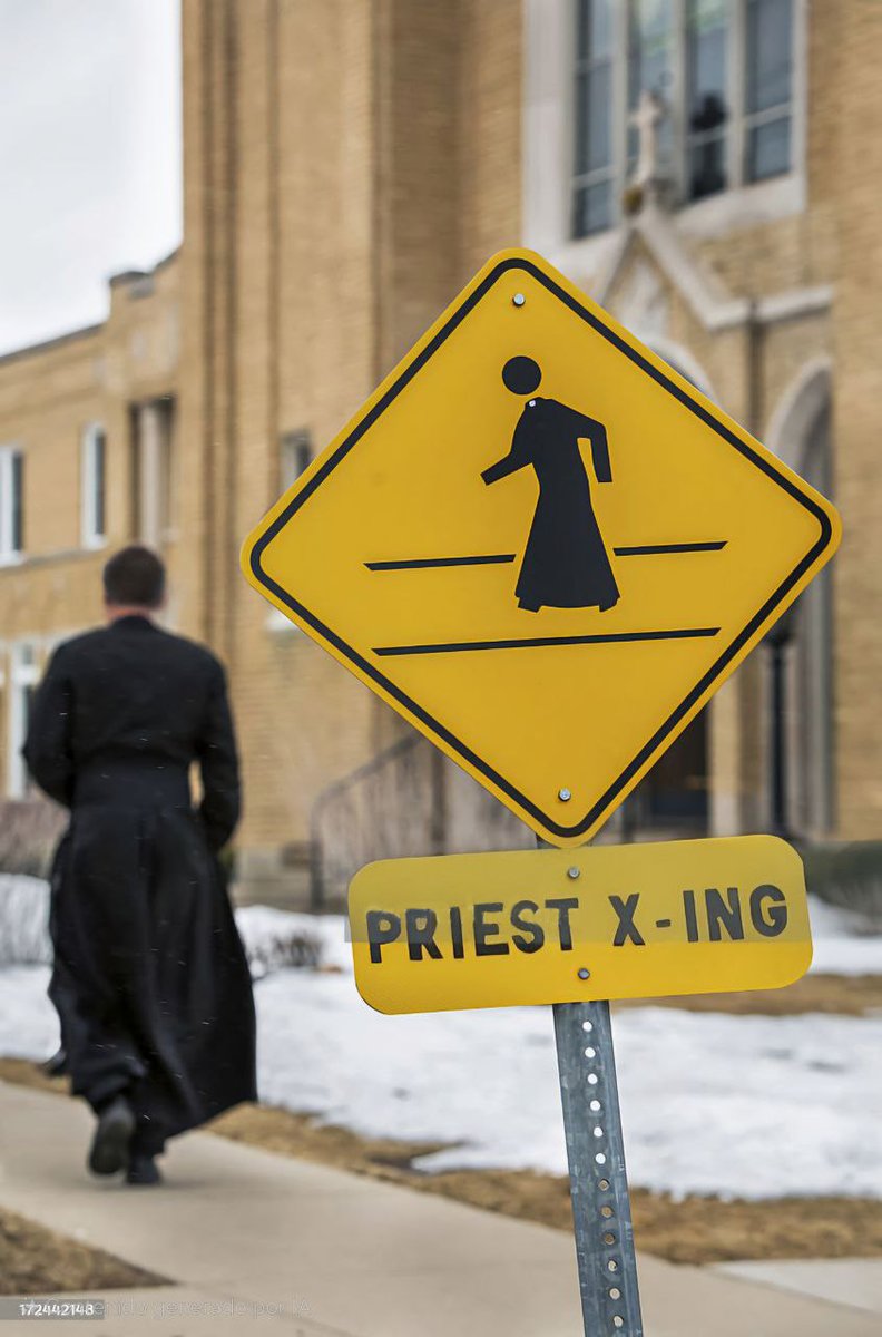 Cruce de ciervos… del Señor.
🦌✝️ Favor de frenar con reverencia.