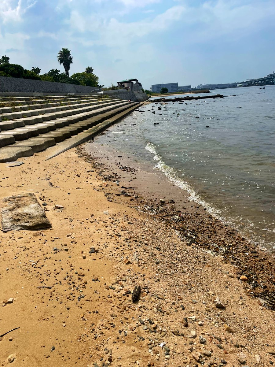 moftt33's tweet image. 娘の自由研究の為に浜辺にきました。
近場でもイカの骨とか剥き出しの桃とか色々落ちてるもんですな。