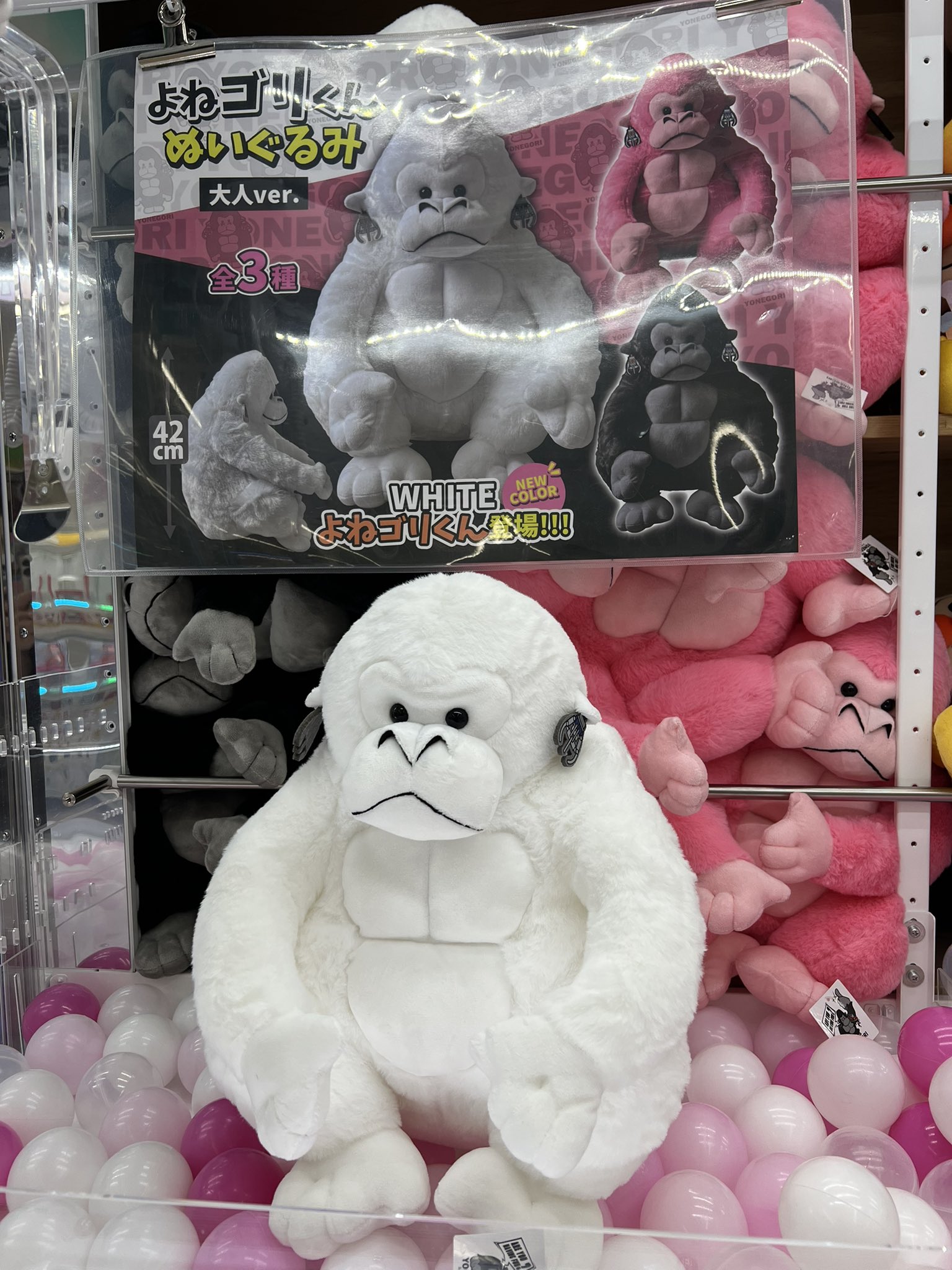 マンガ倉庫月隈店 🦍アミューズ あそびば on X: 