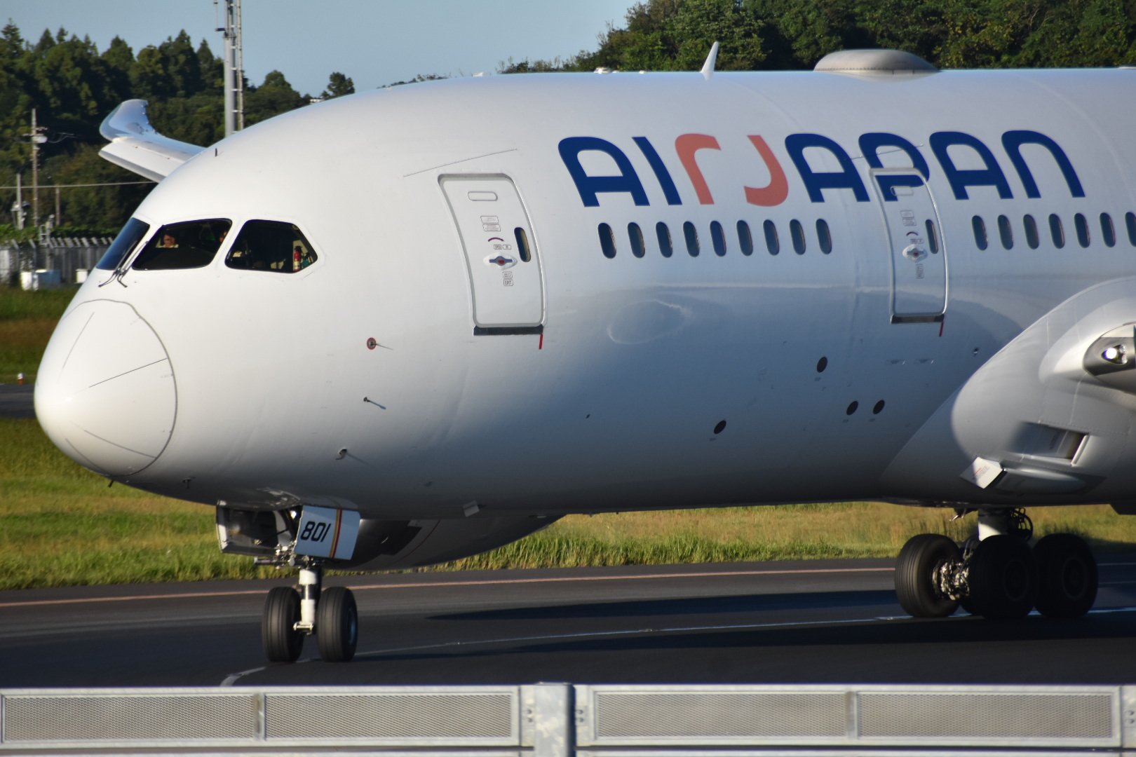 ANA B787-8 JA801A サバ塗装 あの“サバ”787初号機 JA801A、ANAでのラストフライト 2月29日