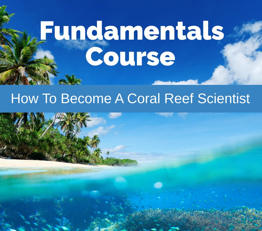 FUNDAMENTALS COURSE BOOK NOW AVAILABLE! How To Become A Coral Reef Scientist (The Coral Reef Research Hub)

In the first book of our ‘fundamentals’ course series we aim to help guide you on your career journey (whichever stage you are at) from deciding you love coral reefs and