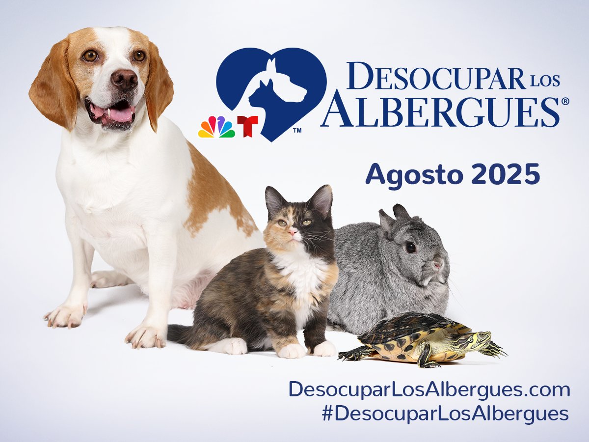 Desocupar los Albergues regresa con su undécima campaña anual de adopción del 1 al 31 de agosto, e incluye una iniciativa ampliada de recaudación de fondos. Detalles aquí: trib.al/ihfEato... #DesocuparLosAlbergues #CTS #adopt #newyork #nyc #nj #CT