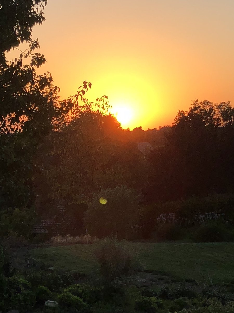 Good night <a href="/carlaensaar97/">Saartje</a> have a great Friday ☺️☀️ things are warming up in the 90’s this weekend.