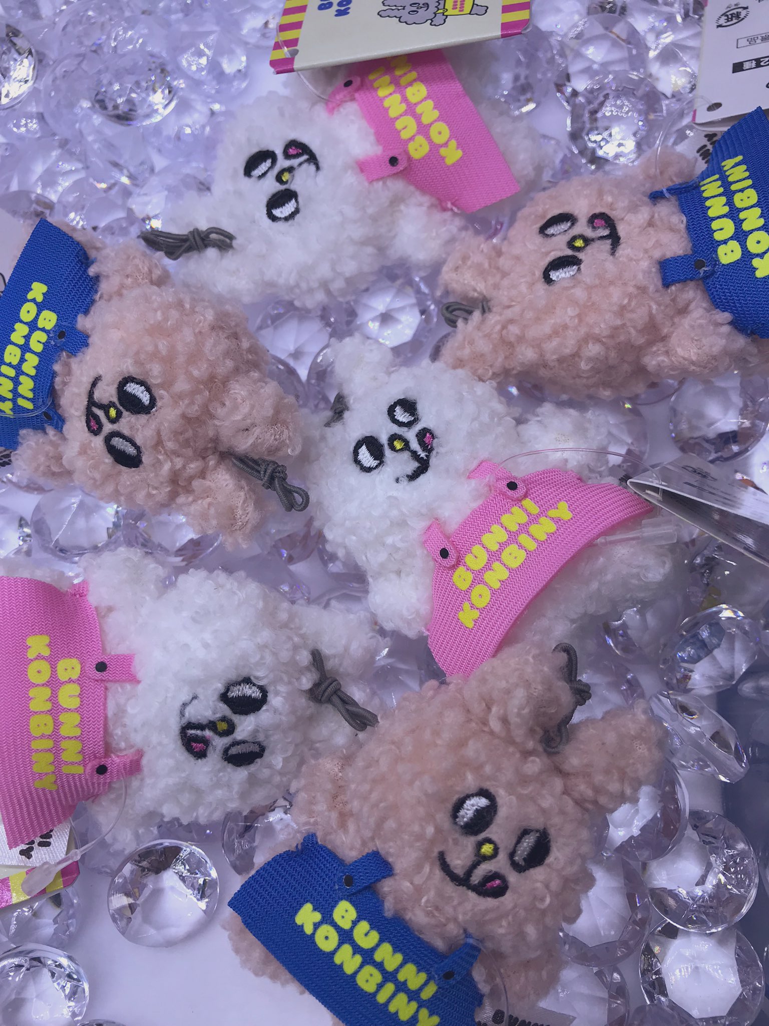 バニー学園発売直筆サイン入り　イベント景品　バニー学園　ギルティアC賞 ハイスクールD×D」，クエストイベント“悪魔と奇術とバニーガール