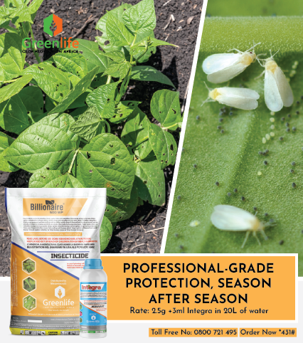 Pest damage begins long before you see it. But with BILLIONAIRE 500 WP, it ends before it starts.
This powerful insecticide attacks in two ways: it knocks down visible pests instantly on contact, and then moves systemically inside the plant to destroy hidden pests feeding within.