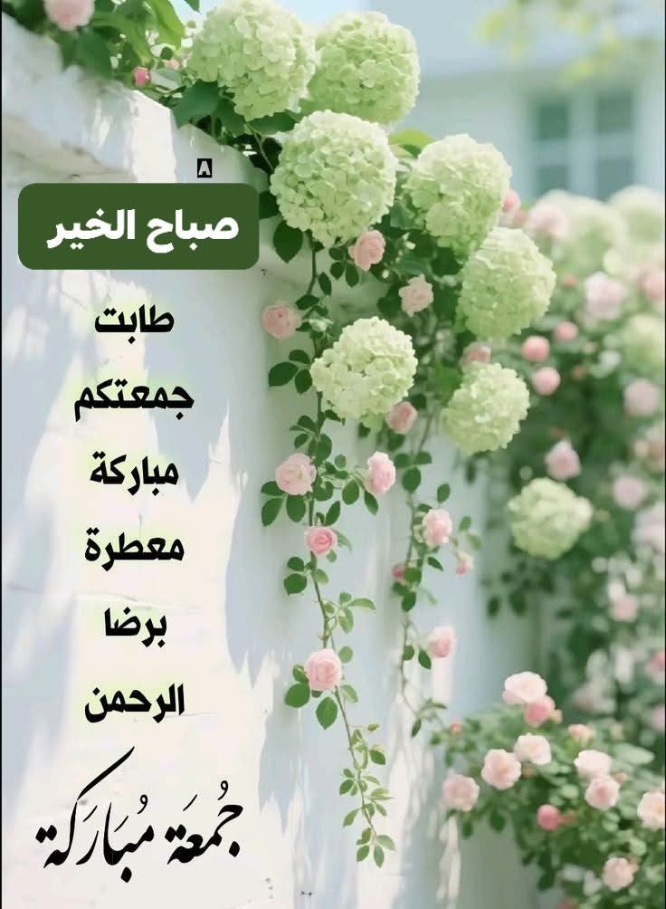 في صباح الجمعة 🌷🌿

 اللهم أملًا يتجدد، ...🌷🌿
 
وراحة تسكن القلب، ...🌷🌿

            وبشائر لا تنتهي....🌷🌿

          صباحكم خير وبركه  🌷🌿

#جمعة_مباركة