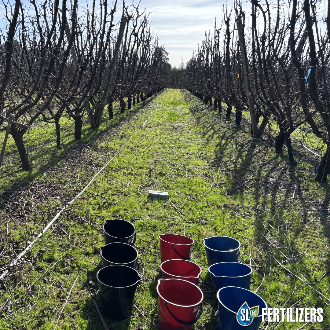 sltecfert's tweet photo. Soil sampling at Aqualime38 trial site based in Katunga Victoria
https://t.co/8QMLuZuytR
#fertiliser #farming #agriculture #horticulture #agronomy #agronomist #ausag #aussiefarmers #agricultureaustralia #familyfarm #sustainablefarming #farmtotable #youngfarmers #agchatoz #Katunga https://t.co/XwpIwOvN73